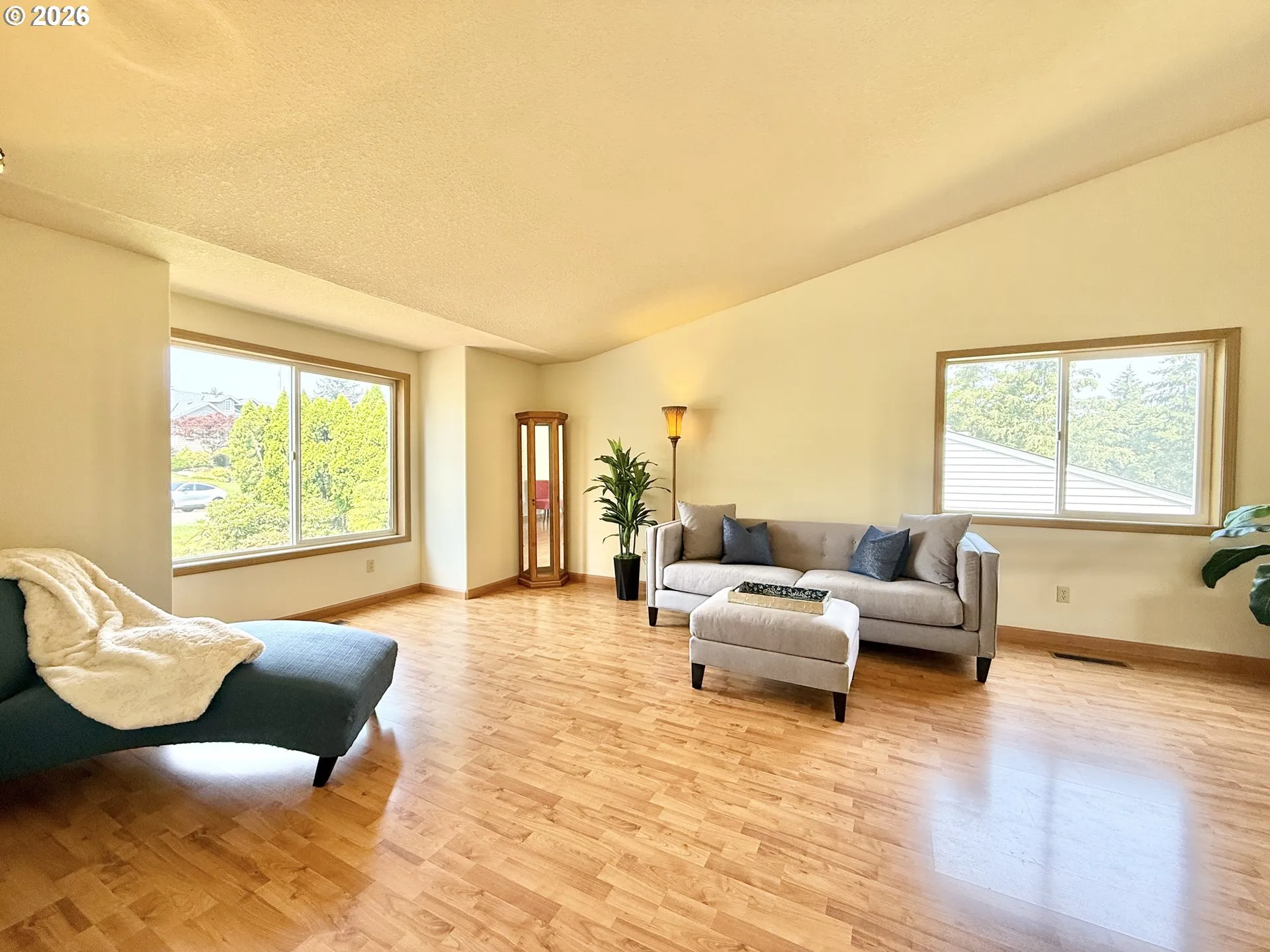 Living Room-Vaulted Ceilings