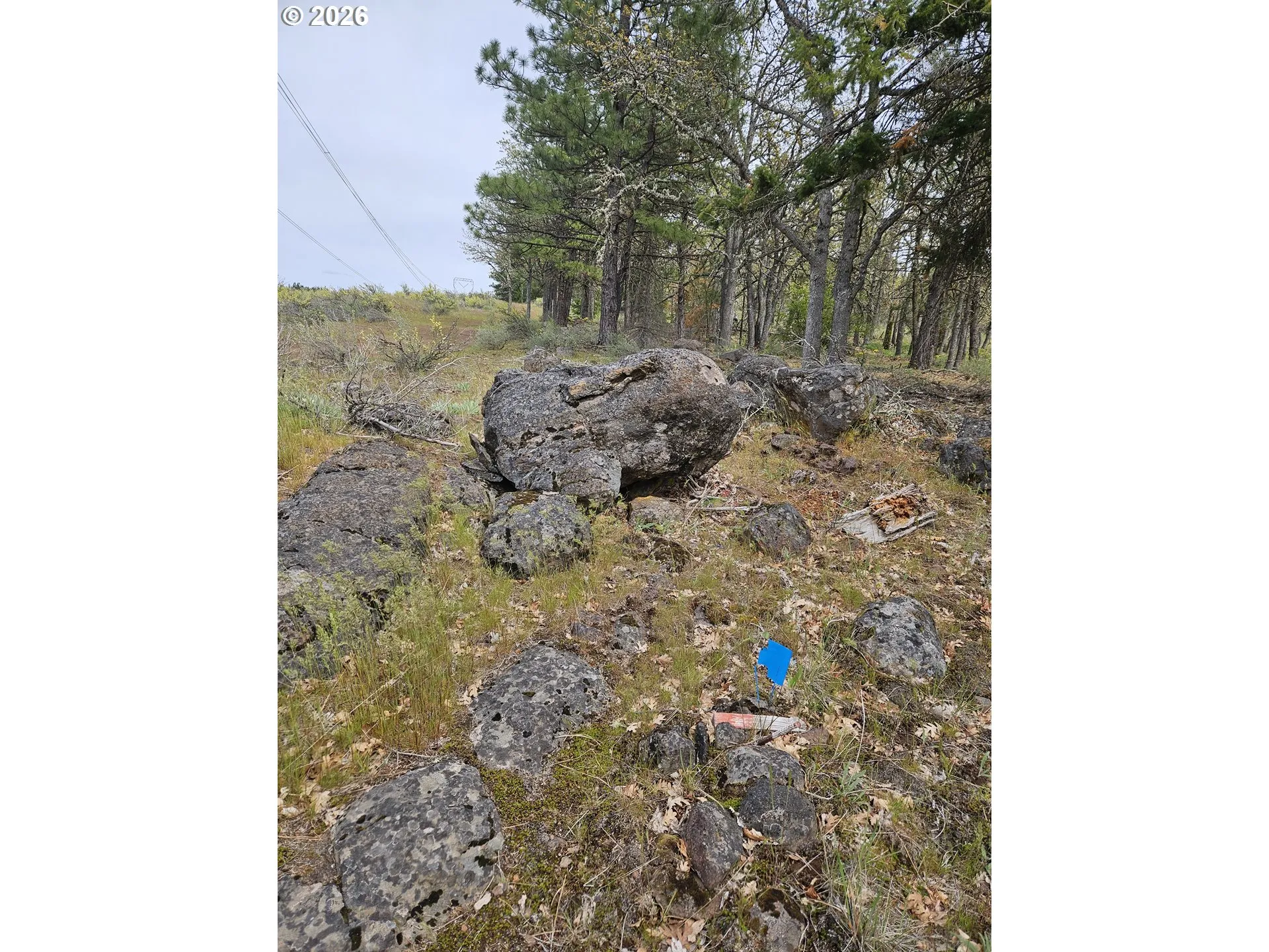 Approximate Property Lines-# 2