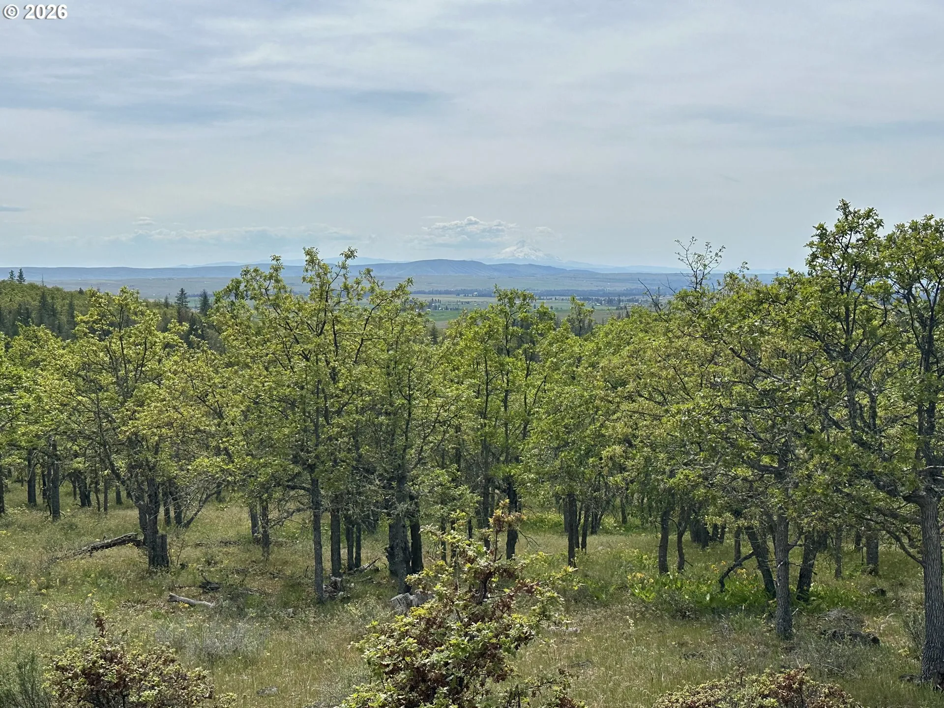 View-Mountain