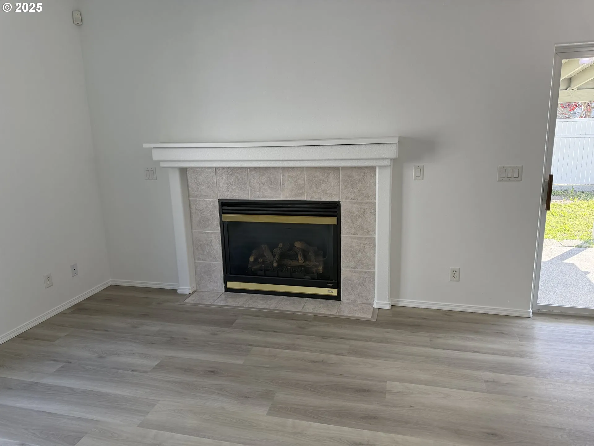 Fireplace Gas Burning Stove/Insert