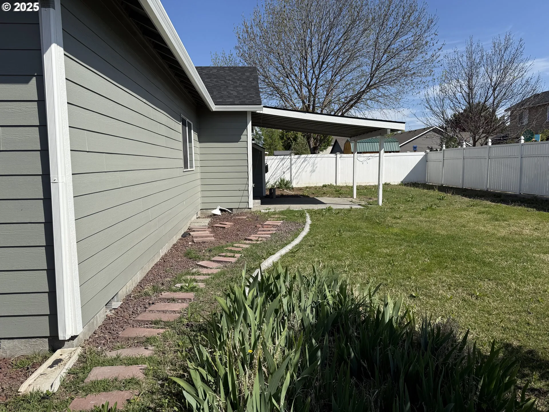 Backyard-# 3