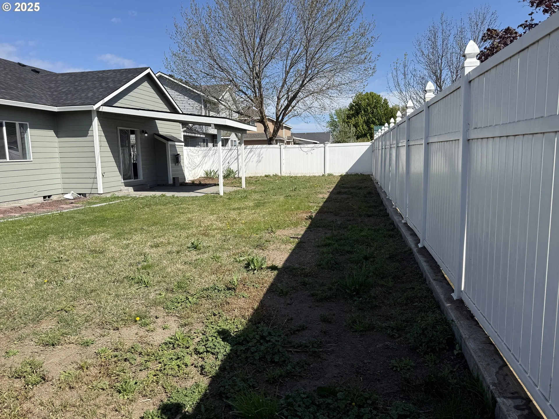 Backyard-Fenced