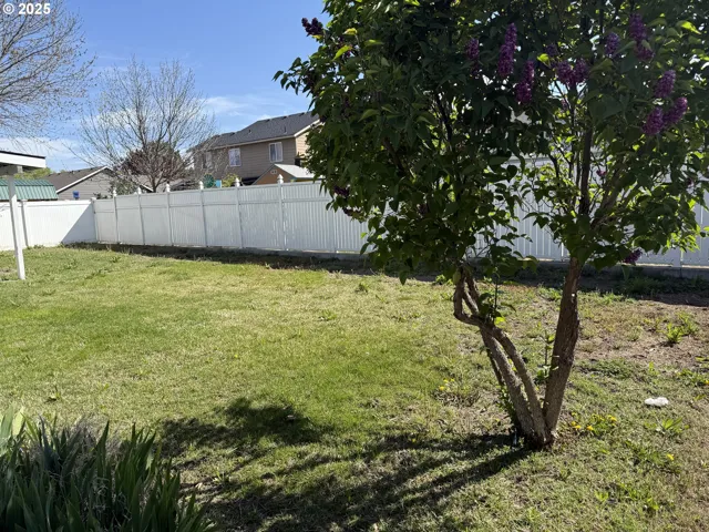 Backyard-Fenced
