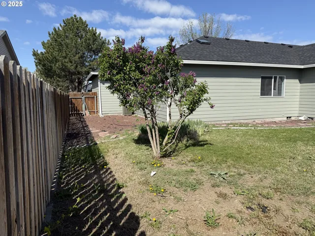 Backyard-# 2