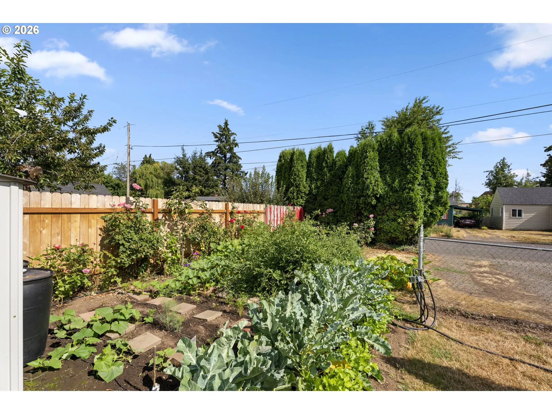 Garden