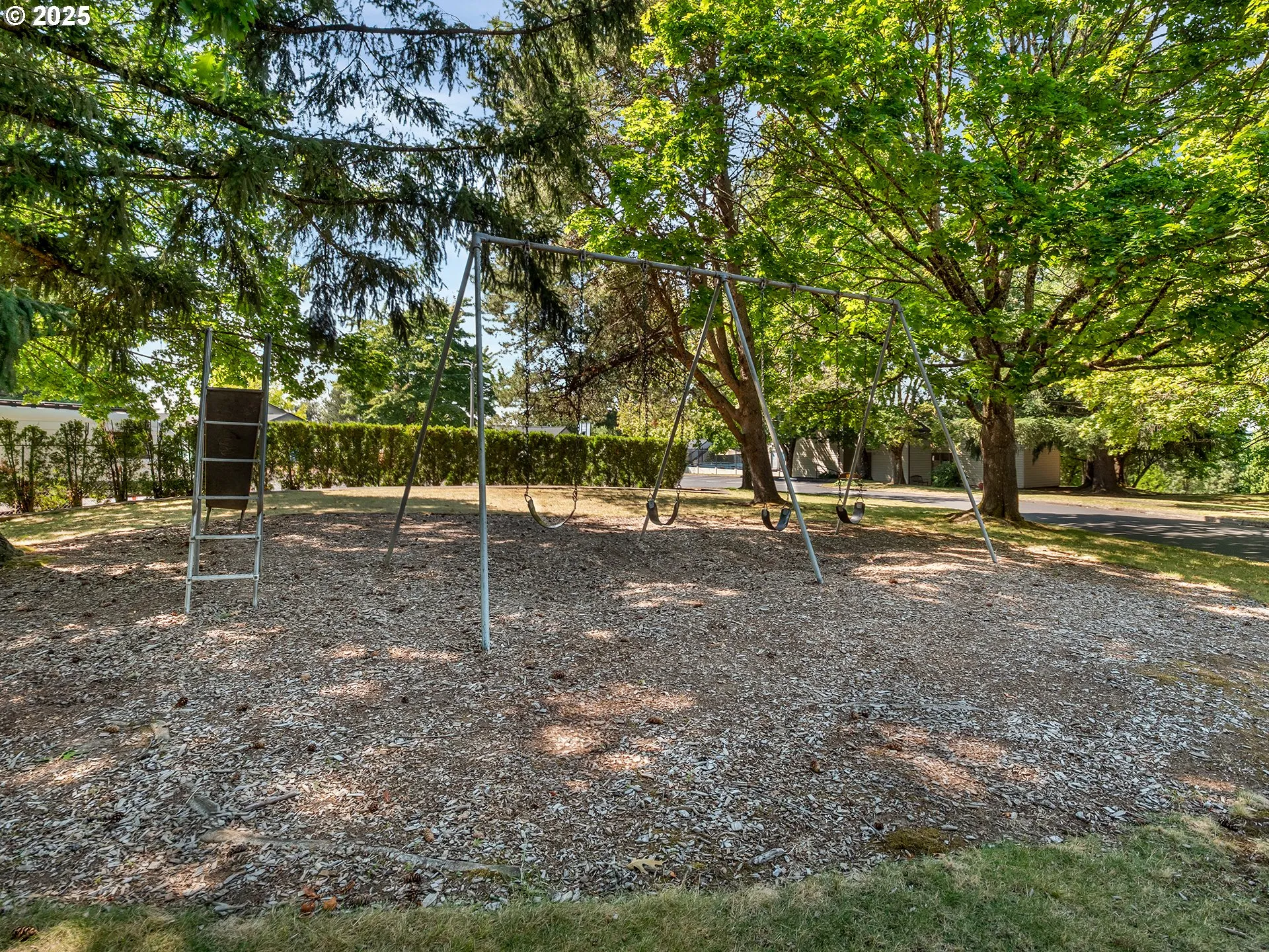 Community Park