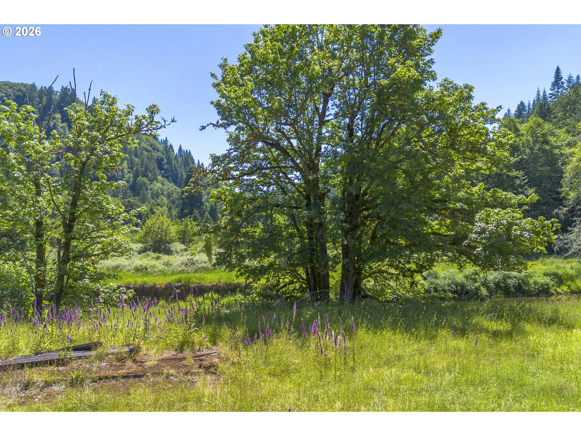 Acreage