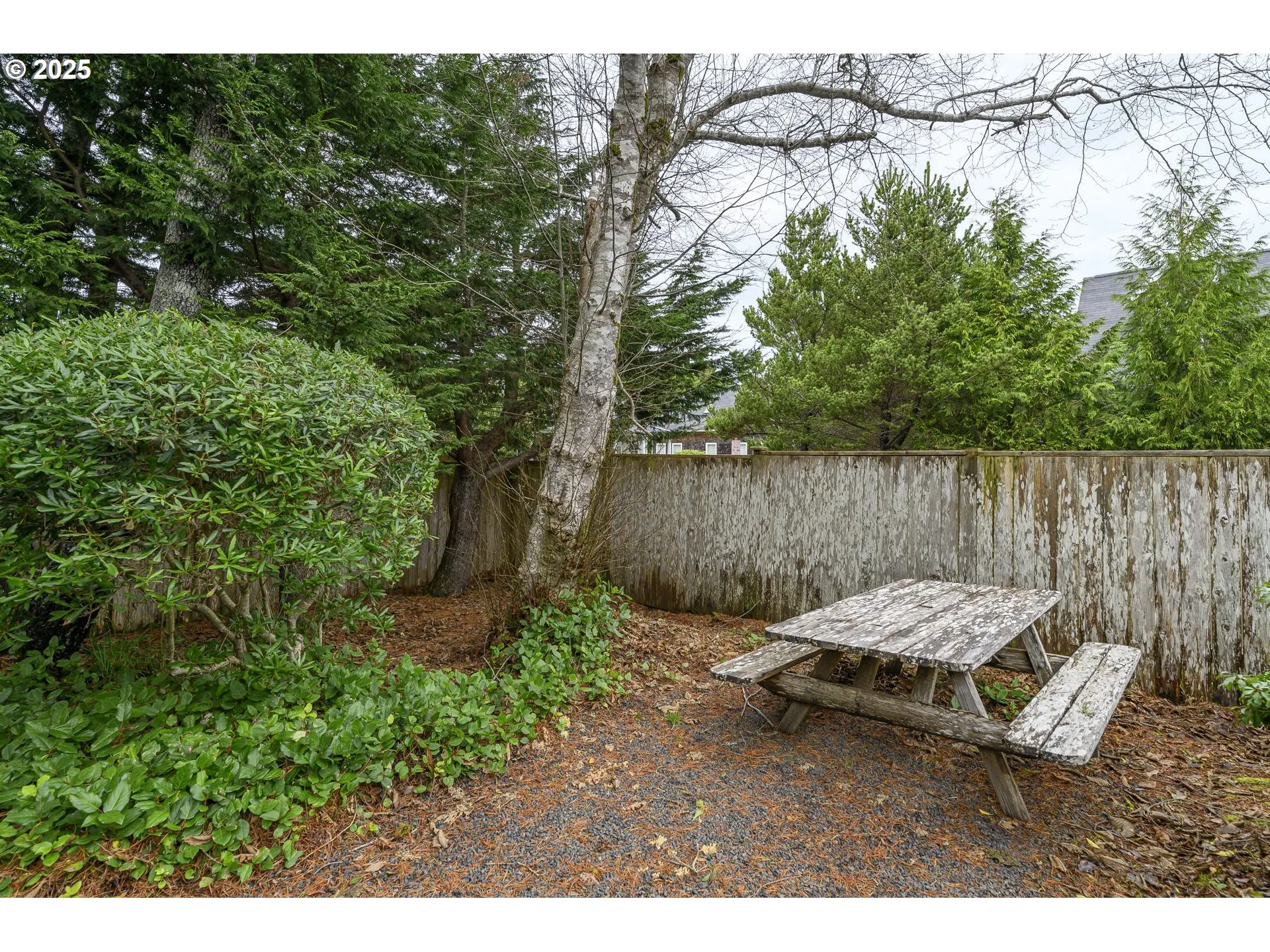 Backyard-Fenced