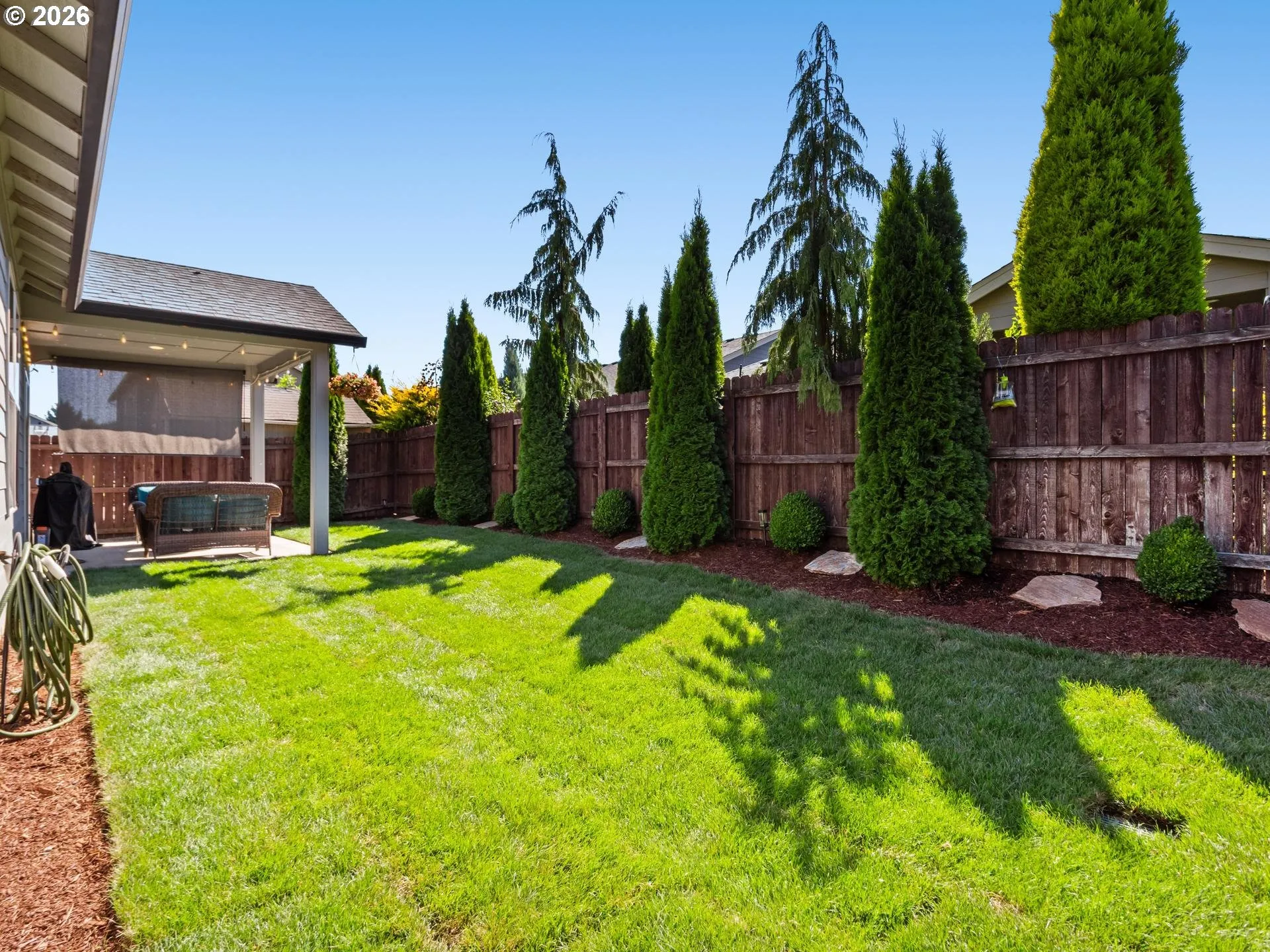 Backyard