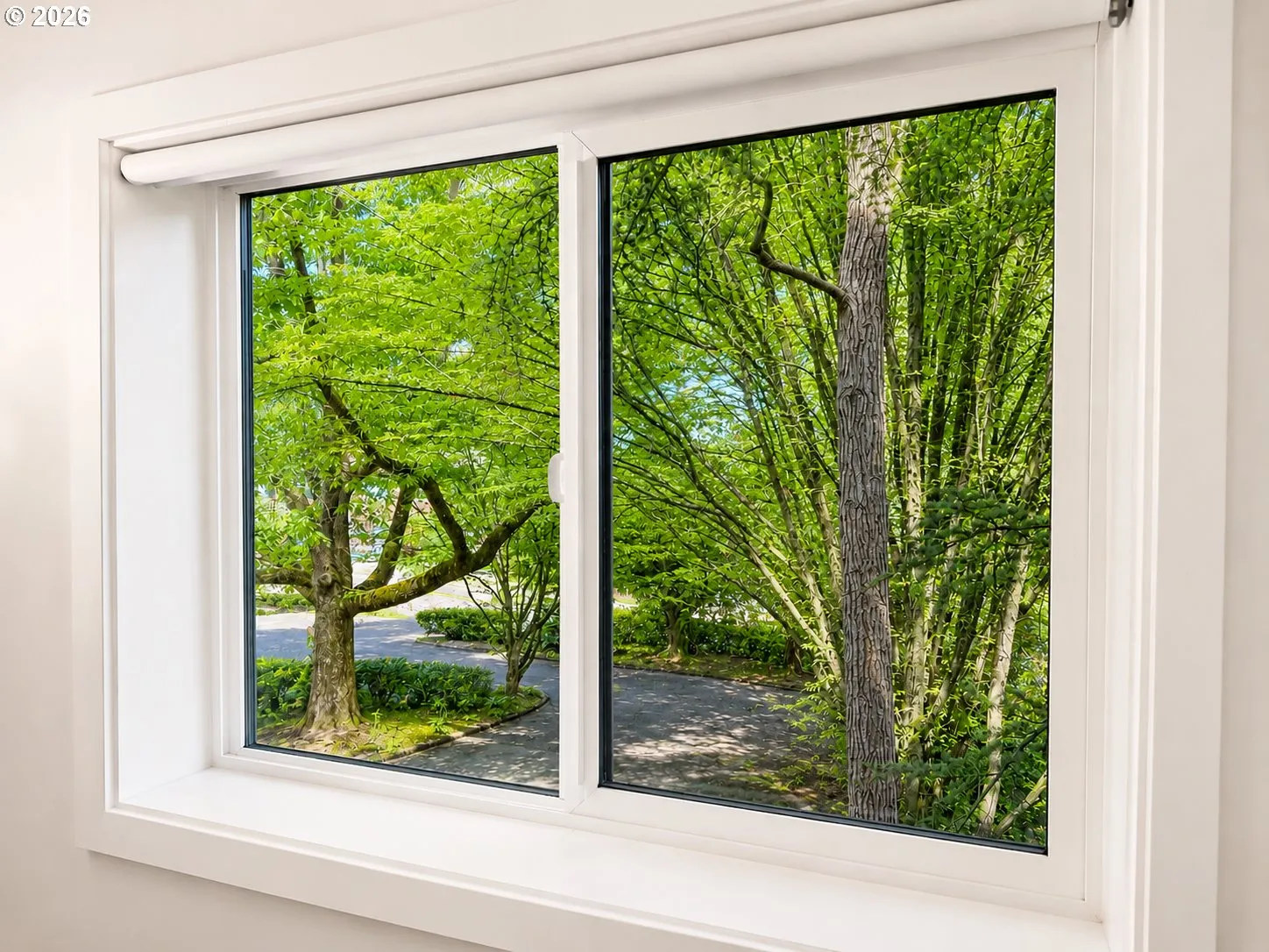 Bedroom-View From