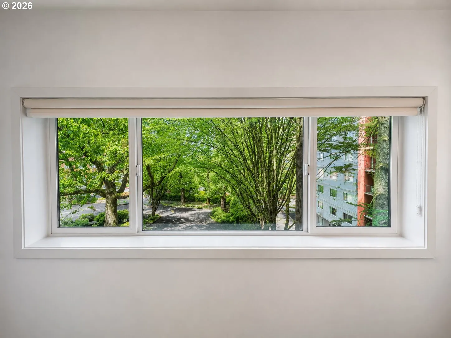 Primary Bedroom-View From