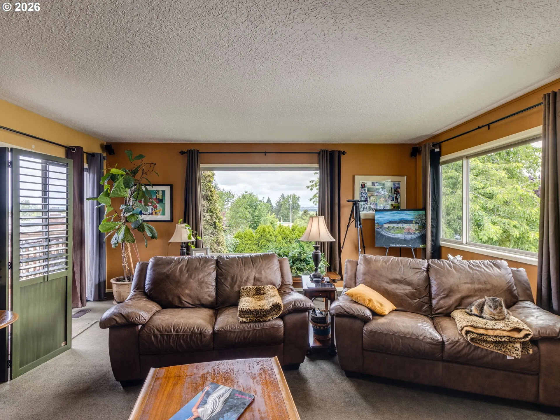 Living Room-View From