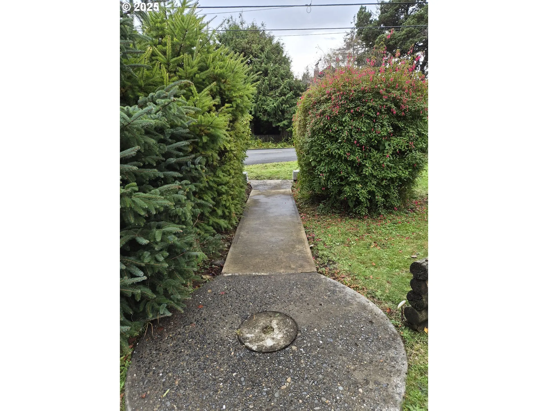 Front Yard
