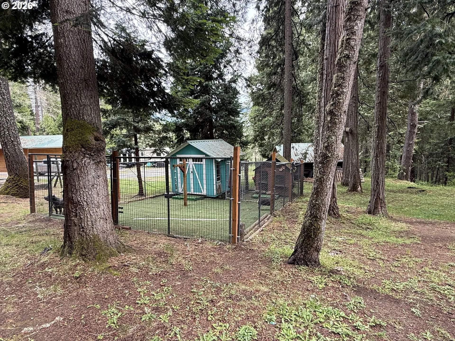 Dog Run