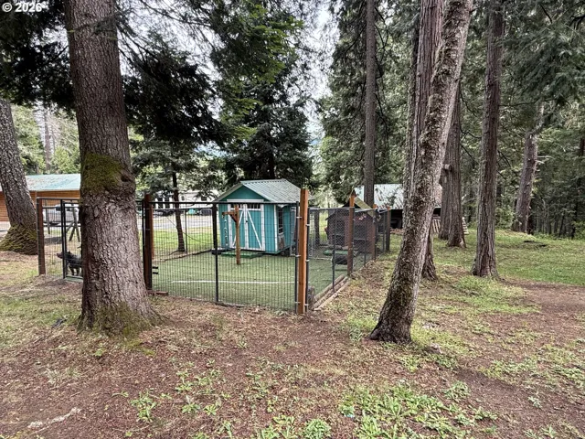 Dog Run