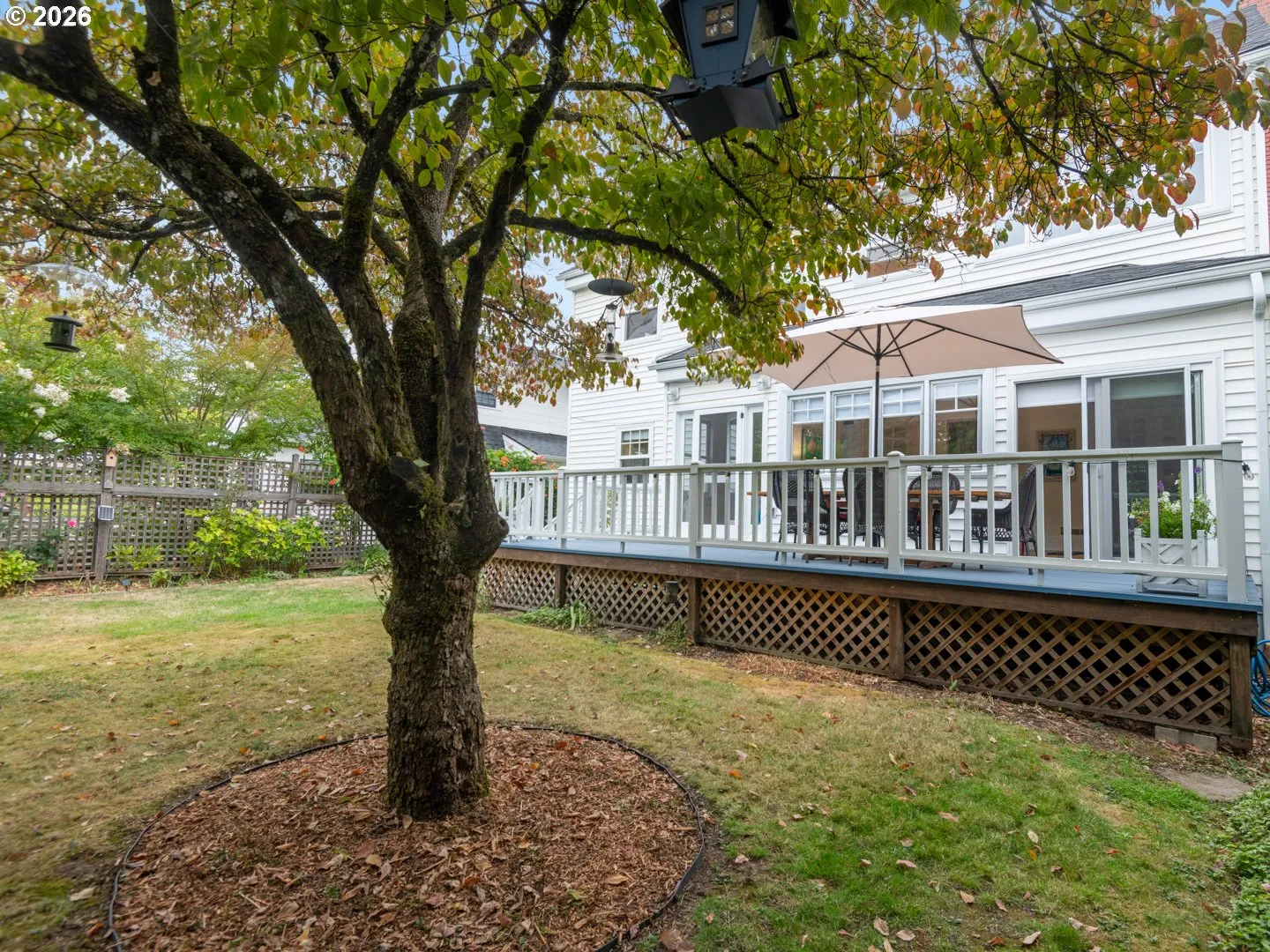 Backyard-Fenced
