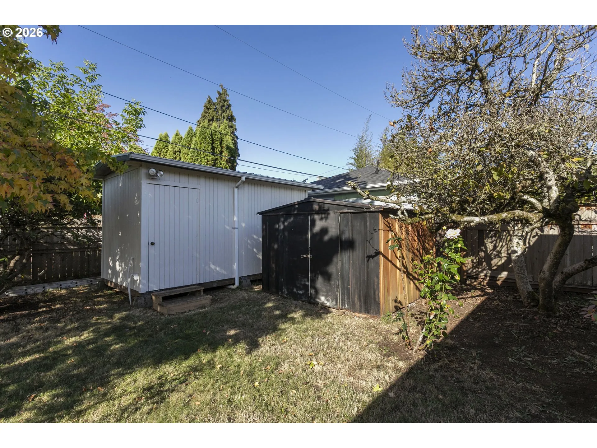 Shed