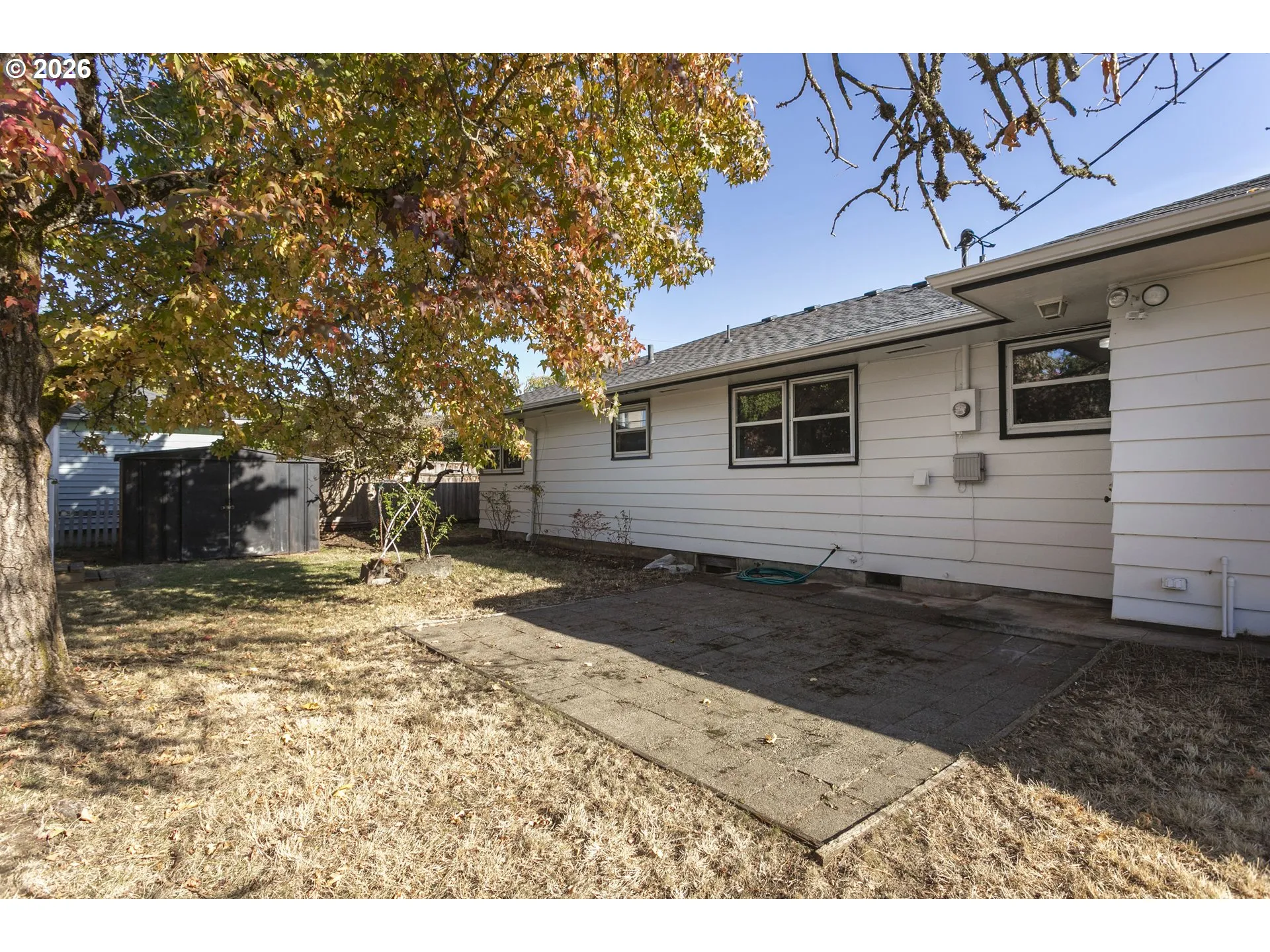 Backyard-View From