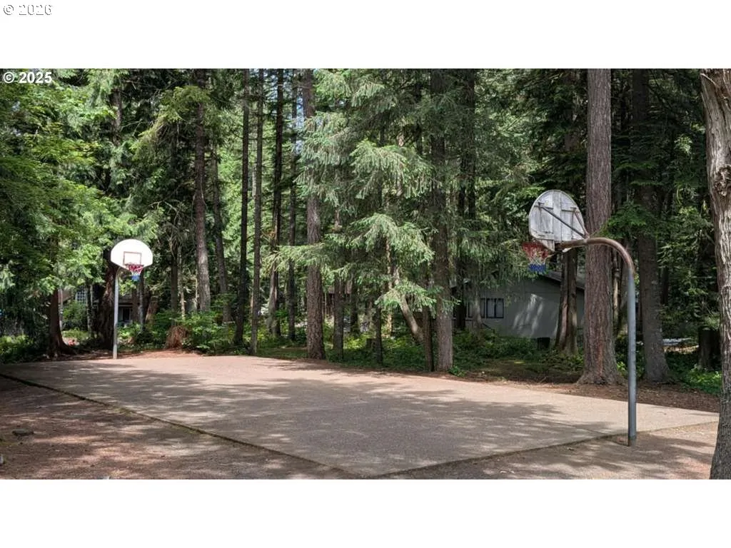 Community Basketball