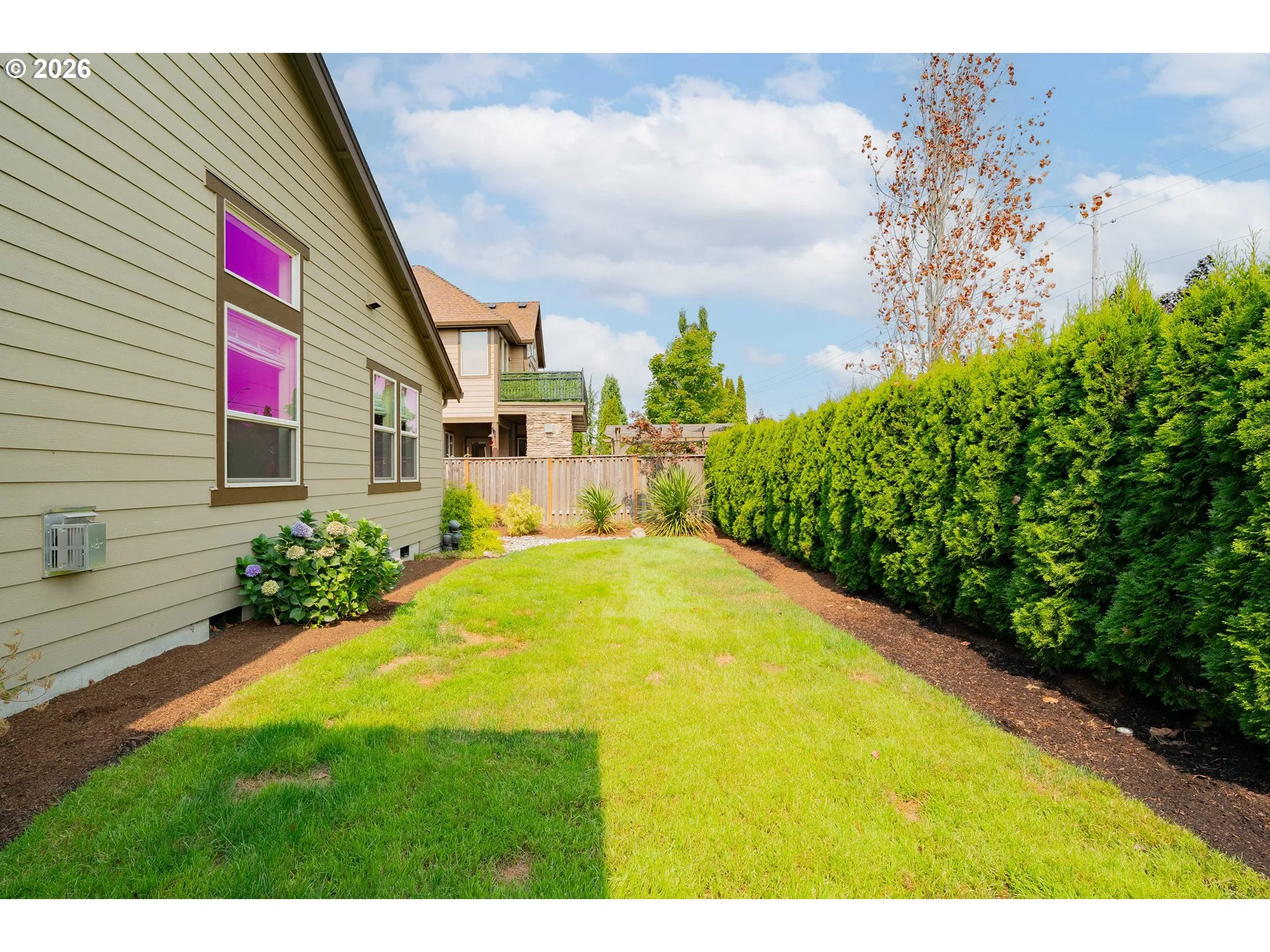 Backyard-Fenced