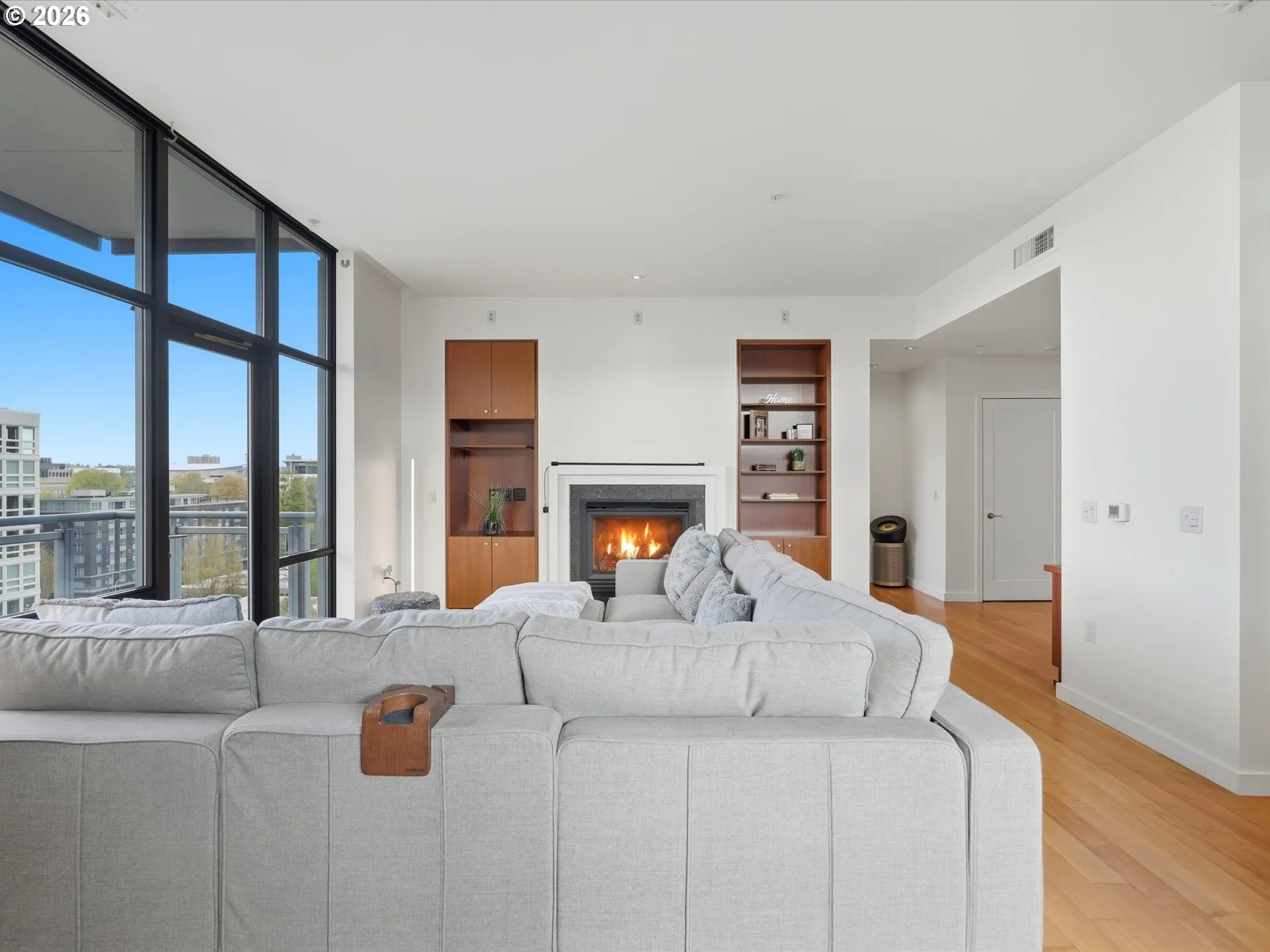 Living Room/Entrance