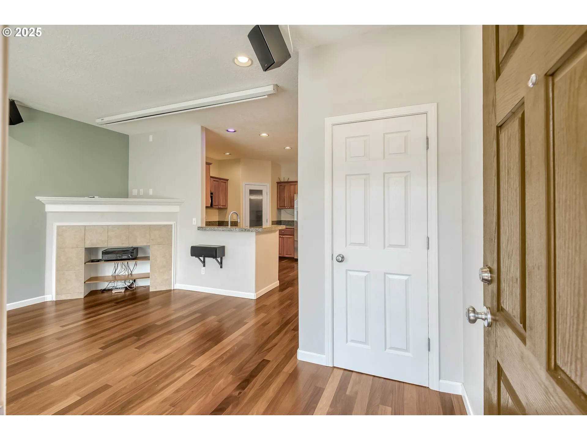 Living Room/Entrance