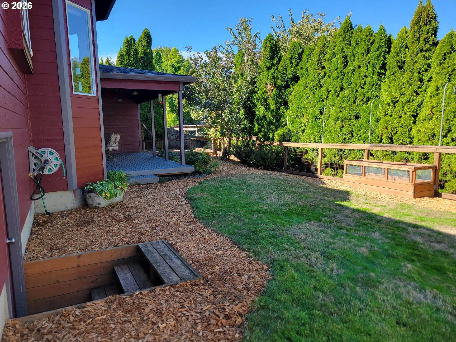Backyard