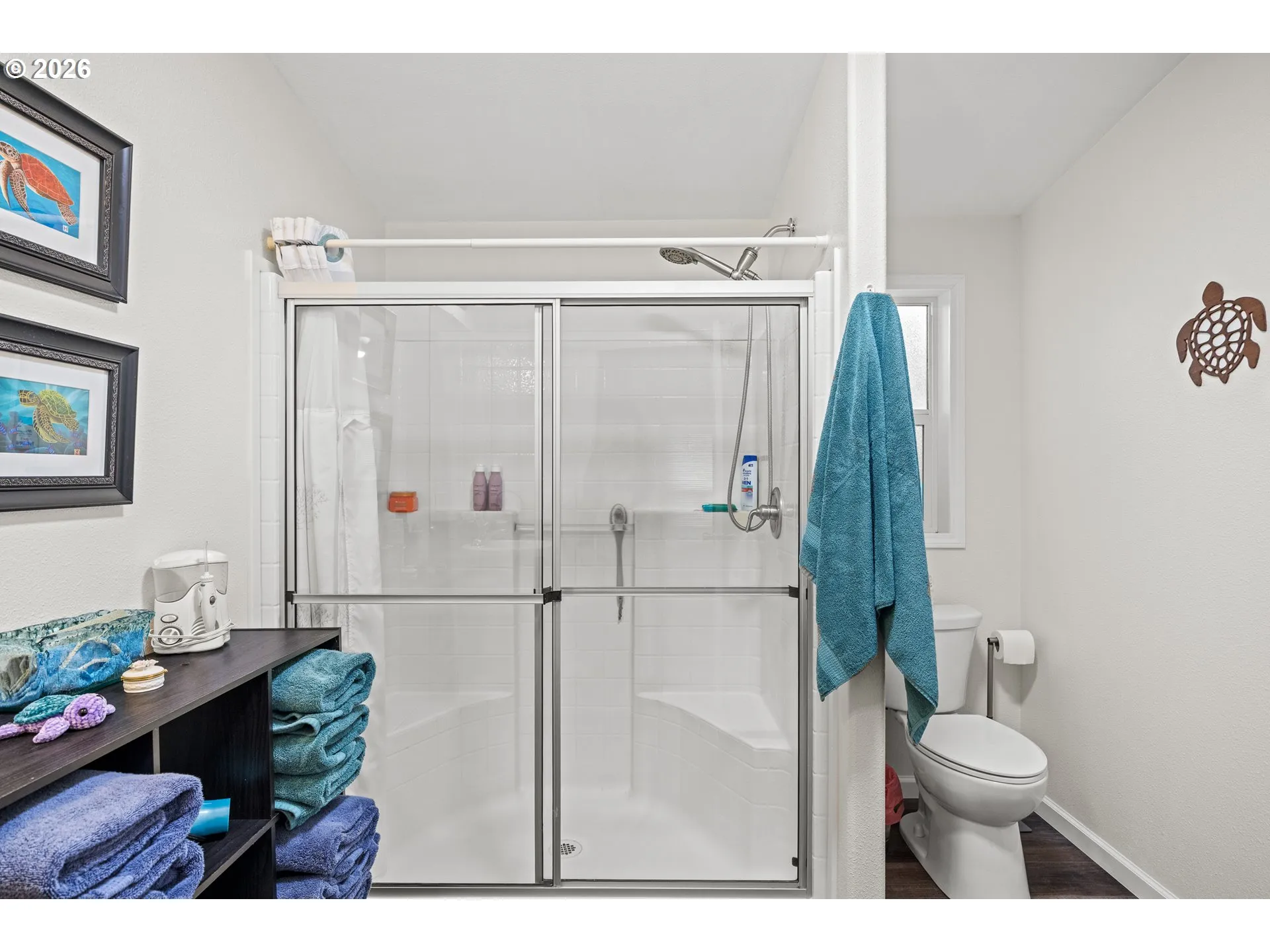 Bathroom-Walk in Shower