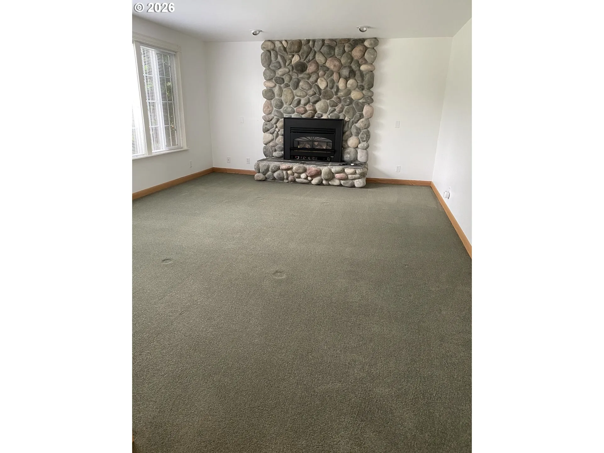 Living Room-Fireplace
