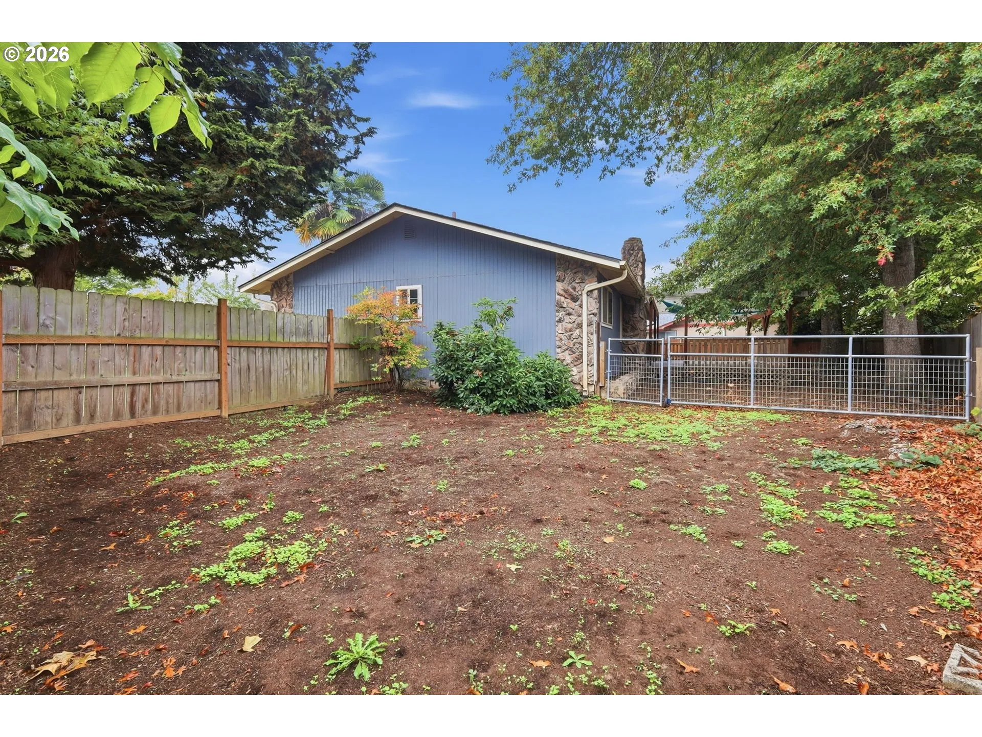 Backyard