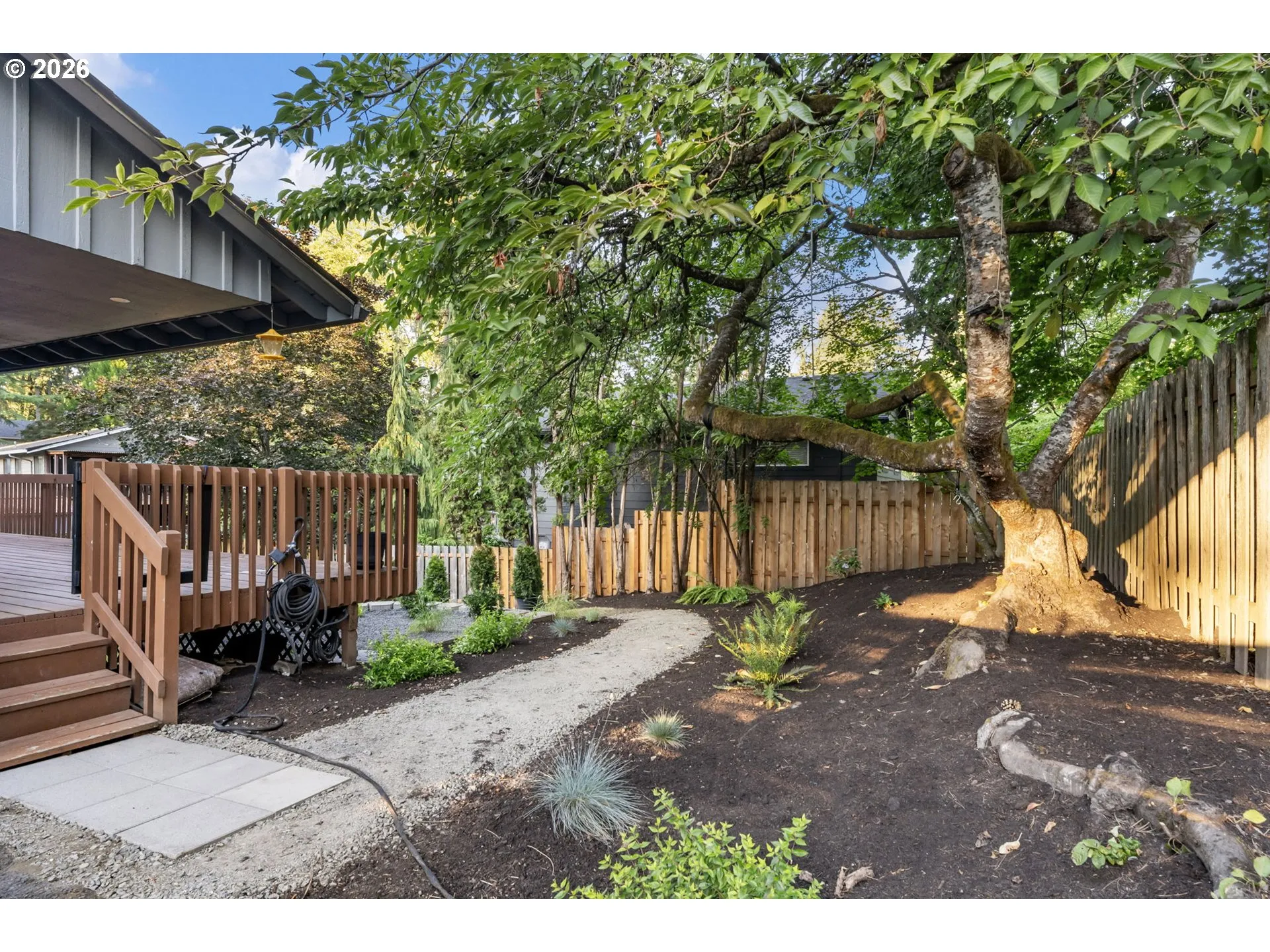 Yard-Landscaped