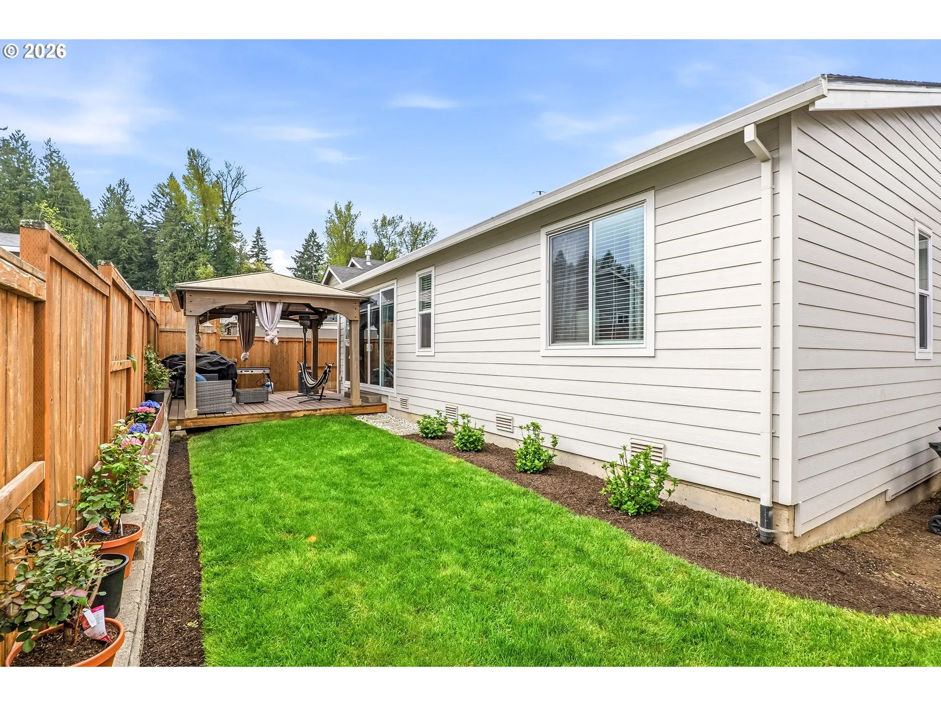 Backyard-View From