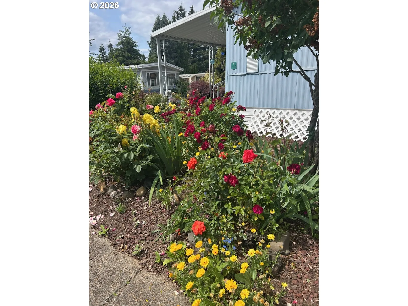 Yard-Landscaped