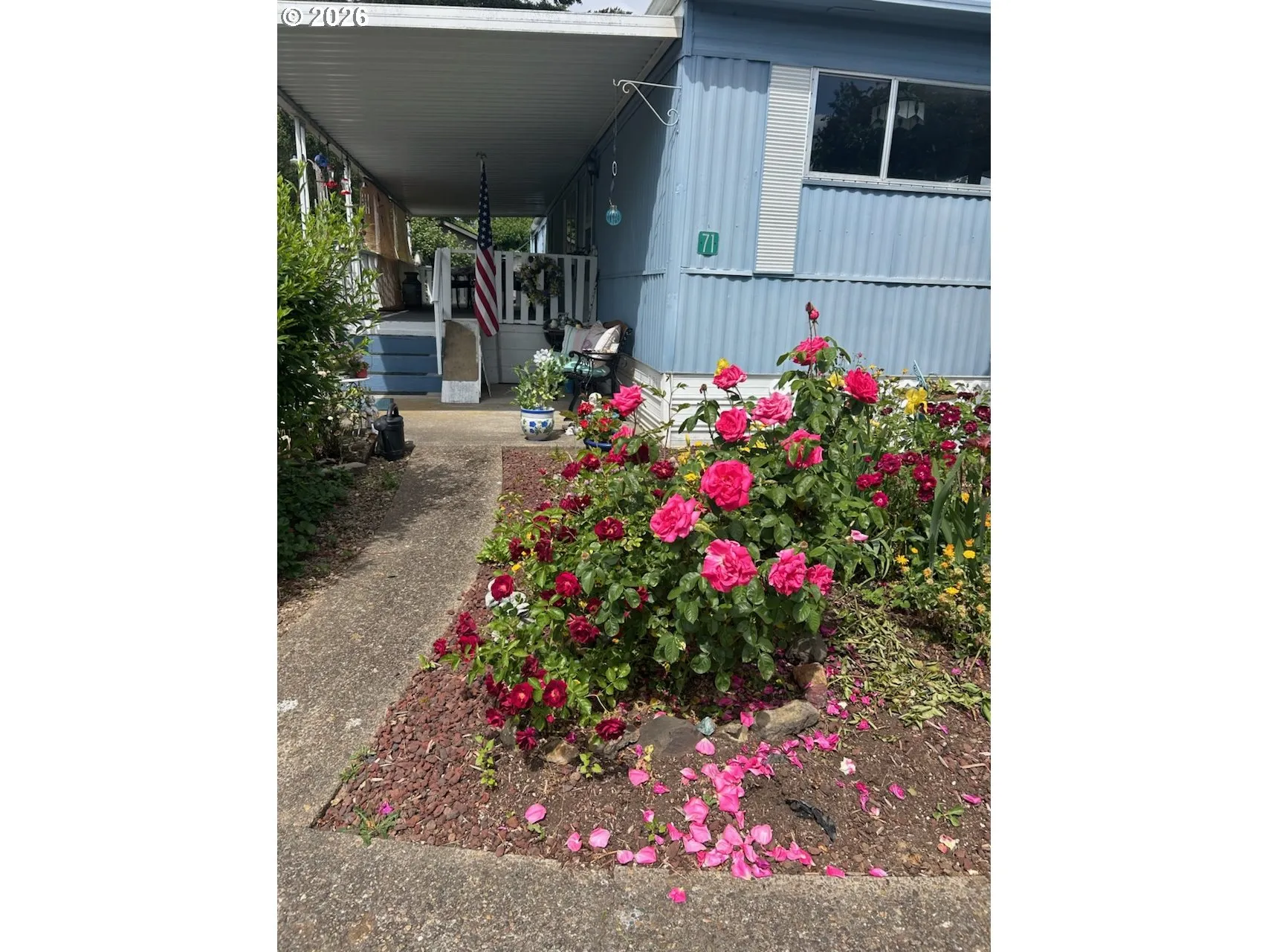 Yard-Landscaped