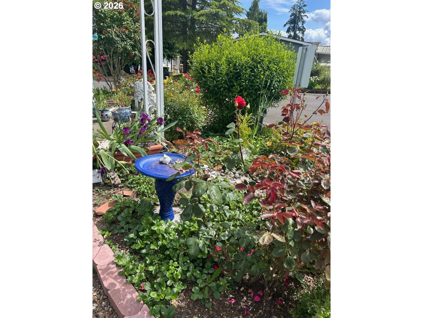 Front Yard