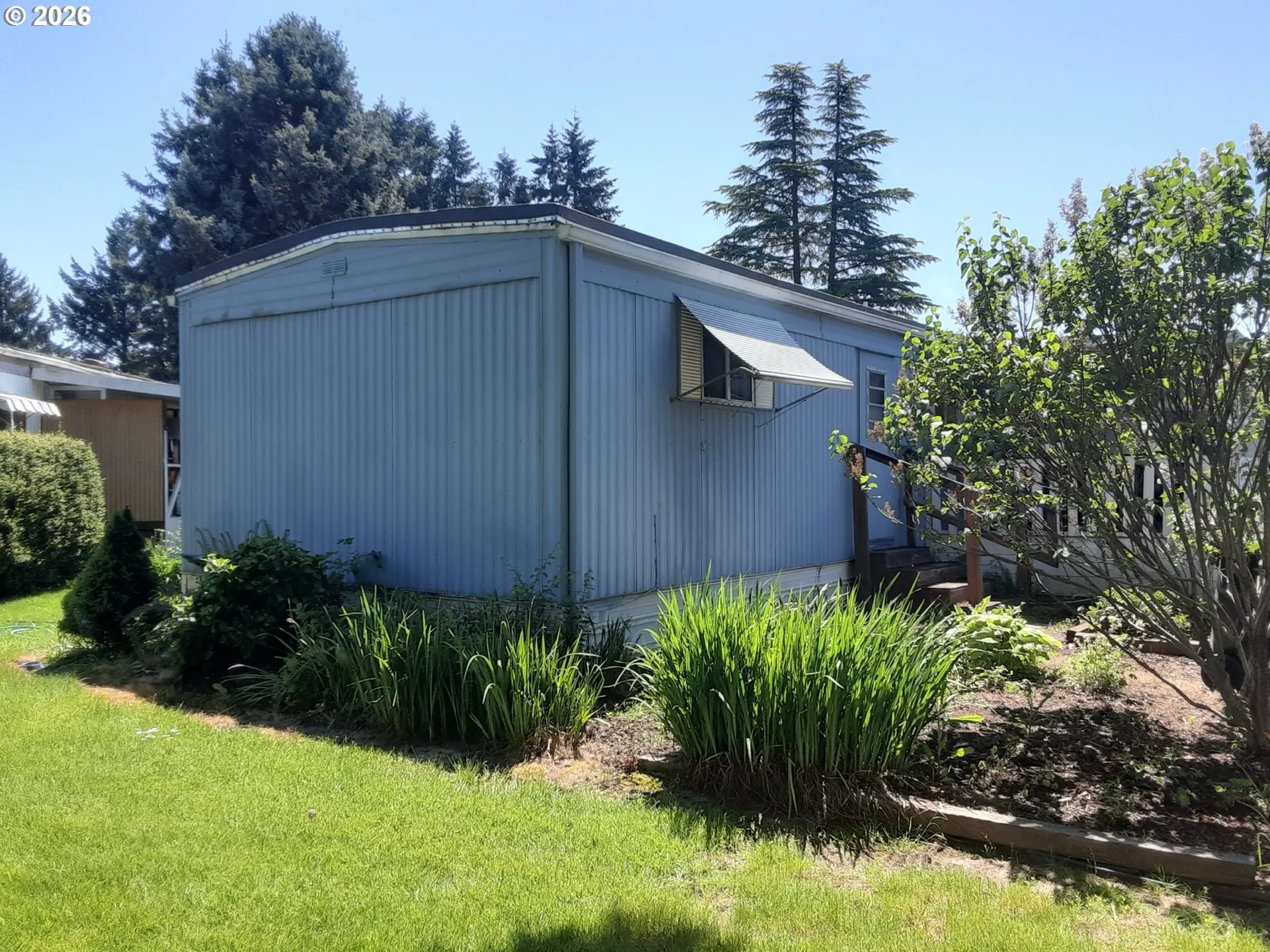 Yard-Landscaped