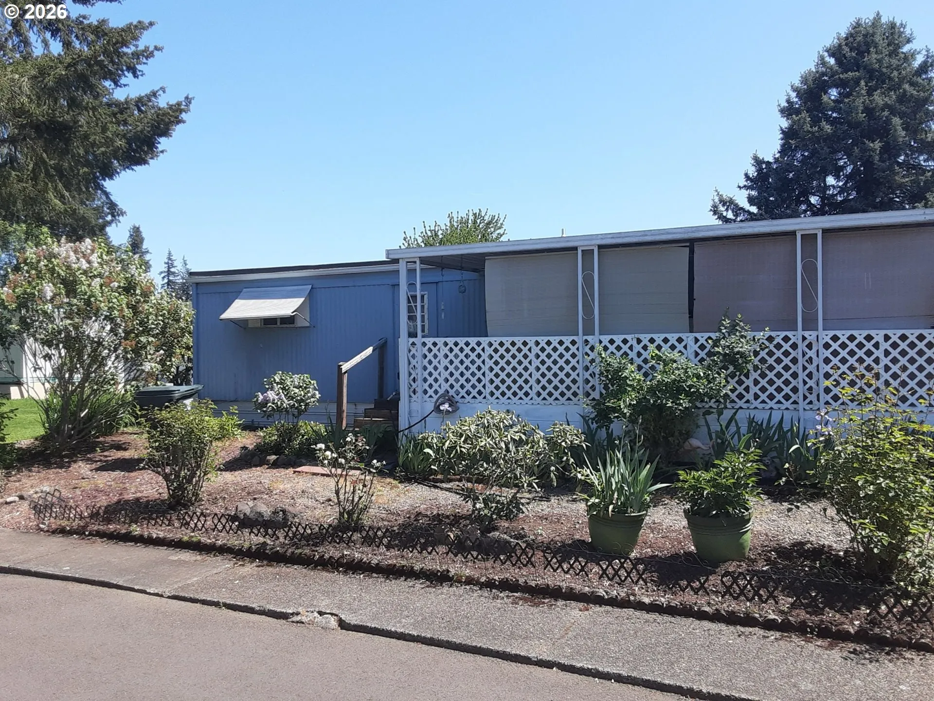 Front Yard