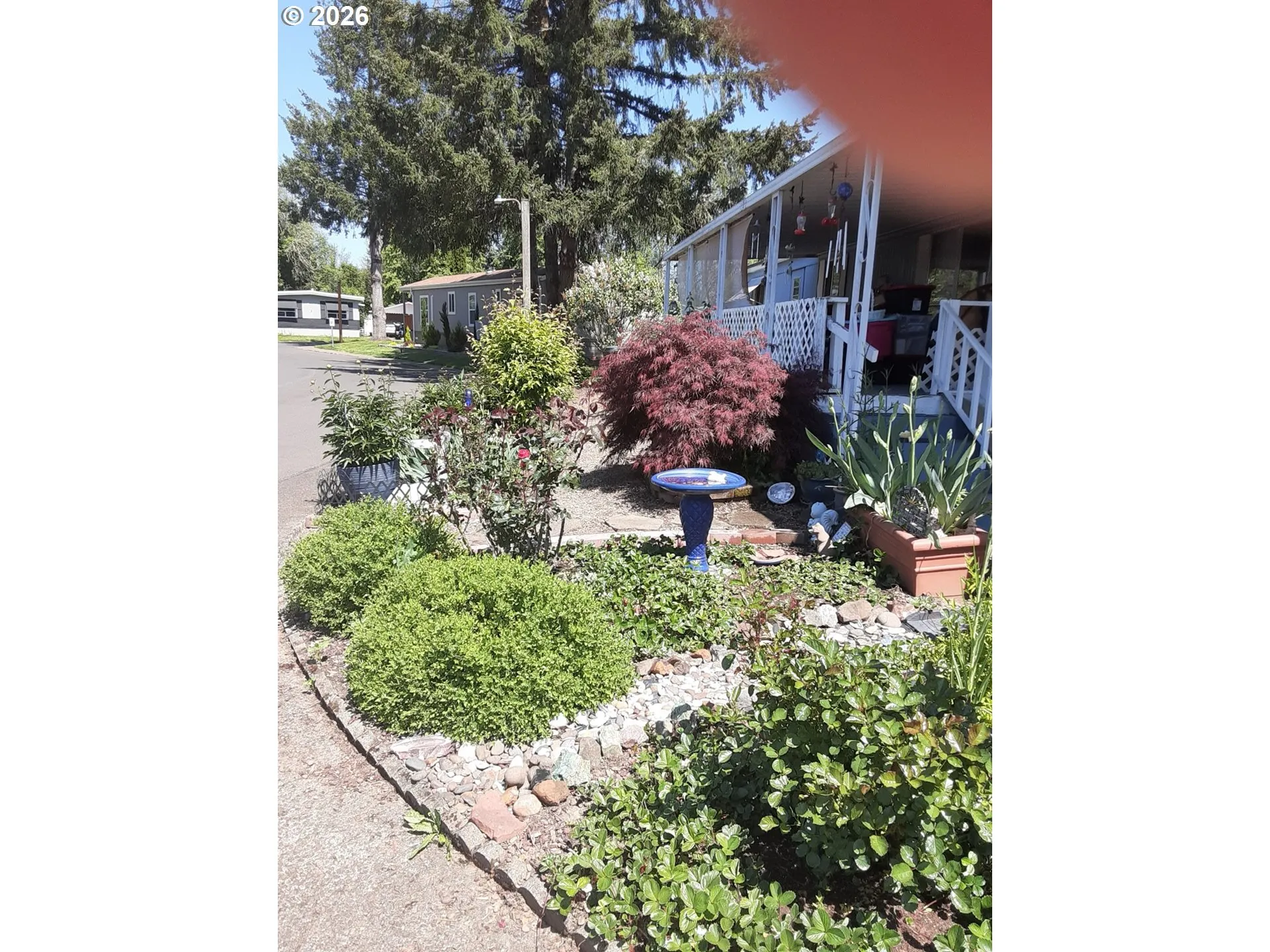 Front Yard