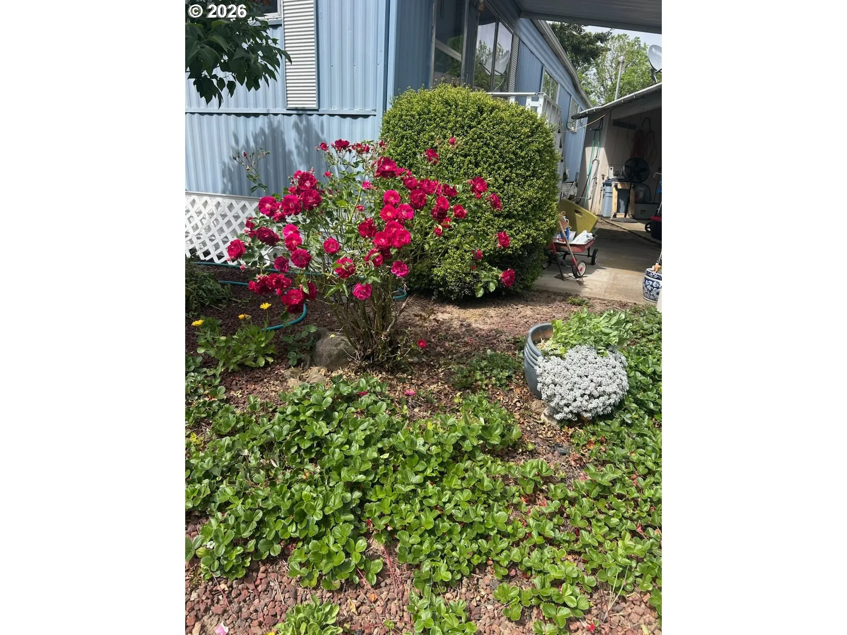 Yard
