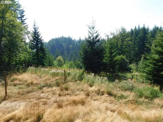 Backyard-Fenced