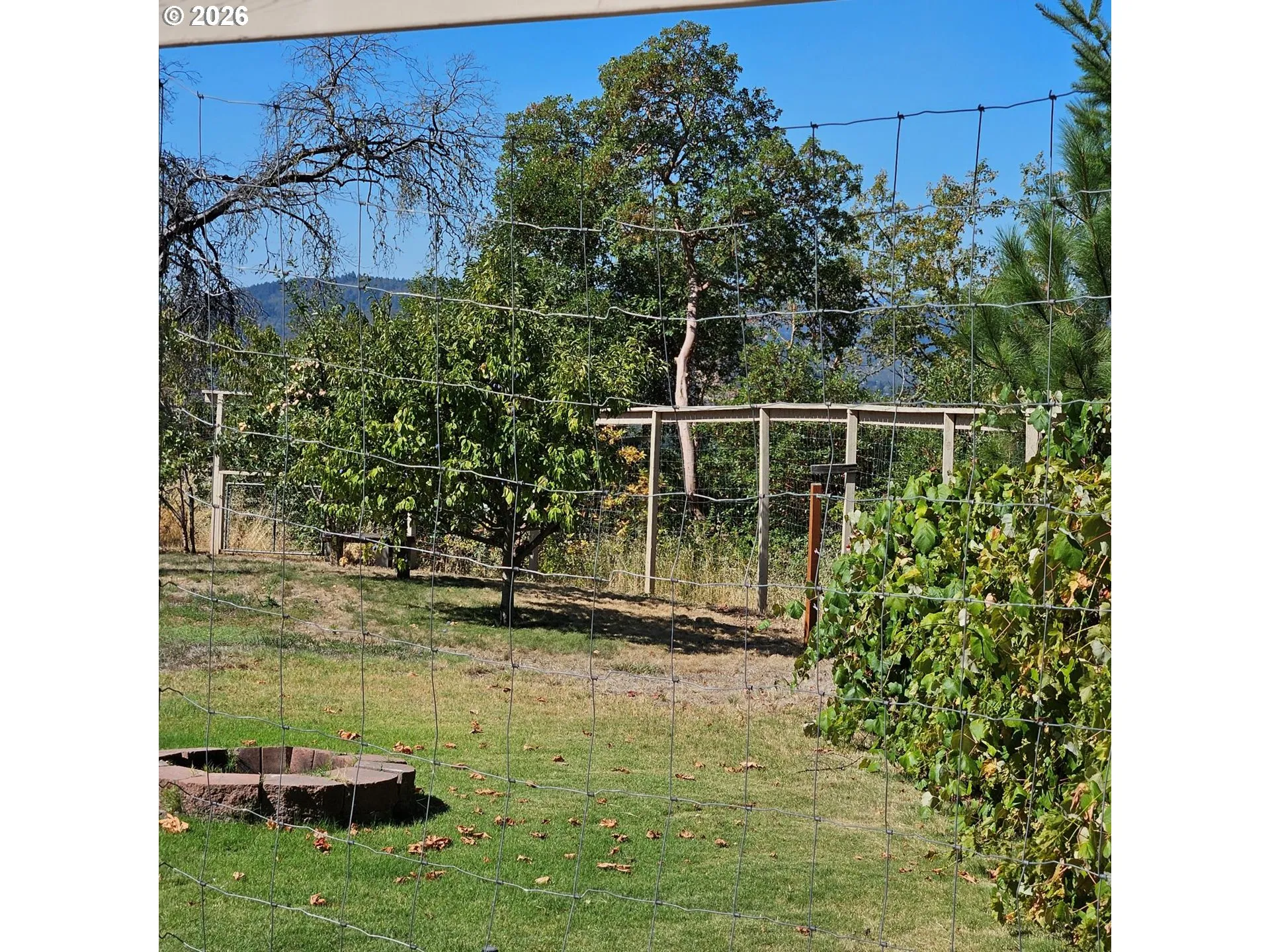 Backyard-Fenced