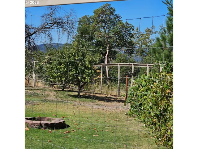 Backyard-Fenced
