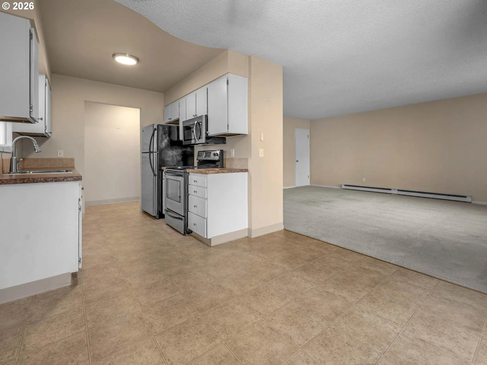Kitchen/Living Room