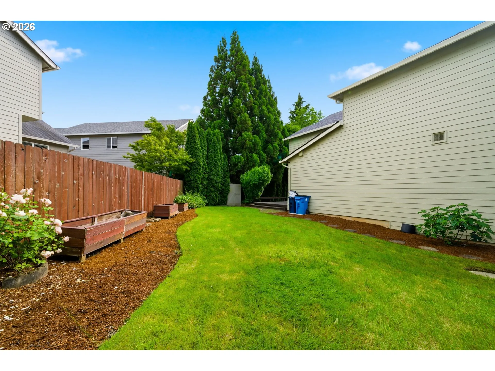 Backyard-# 2