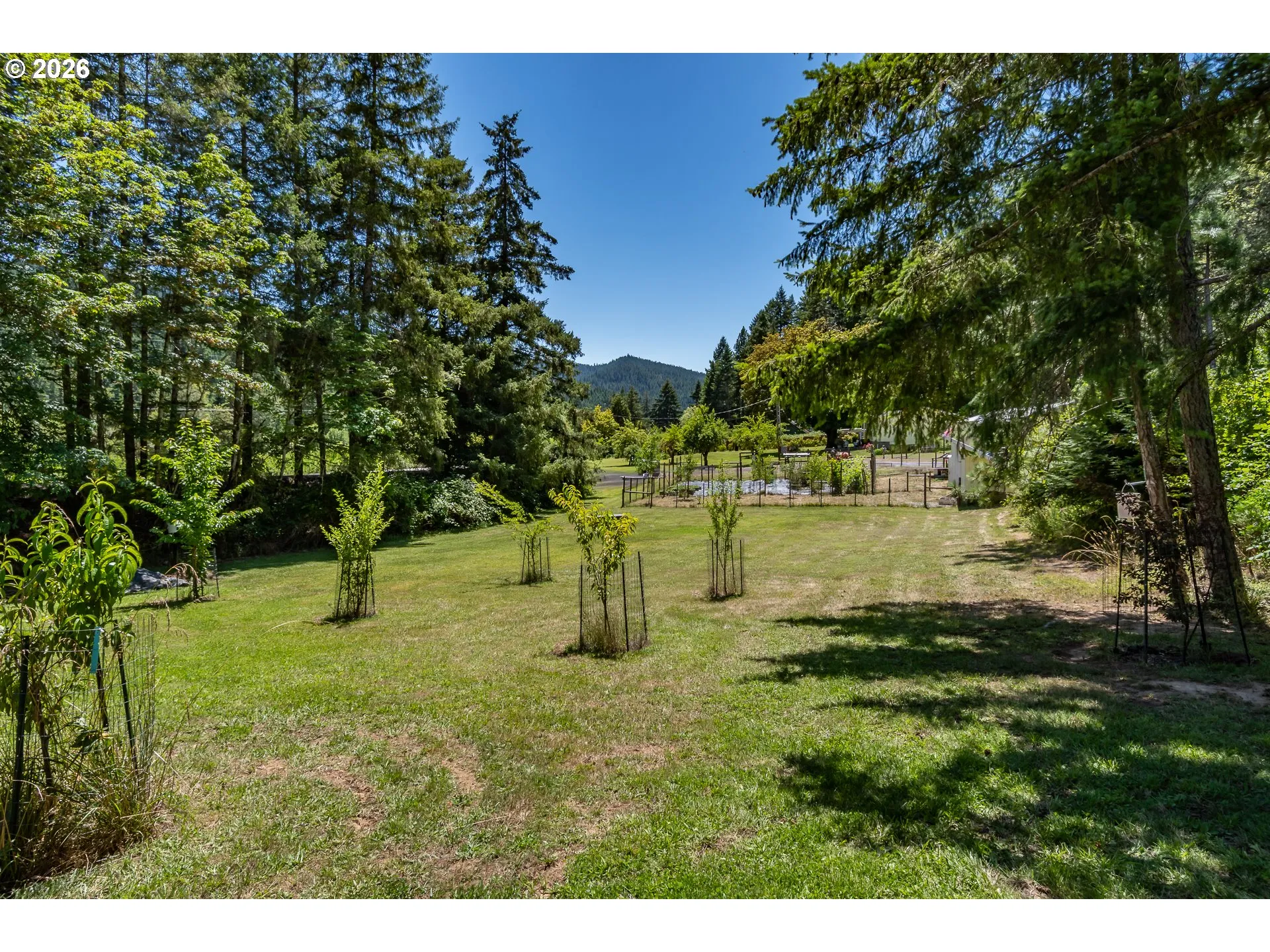 Green Space
