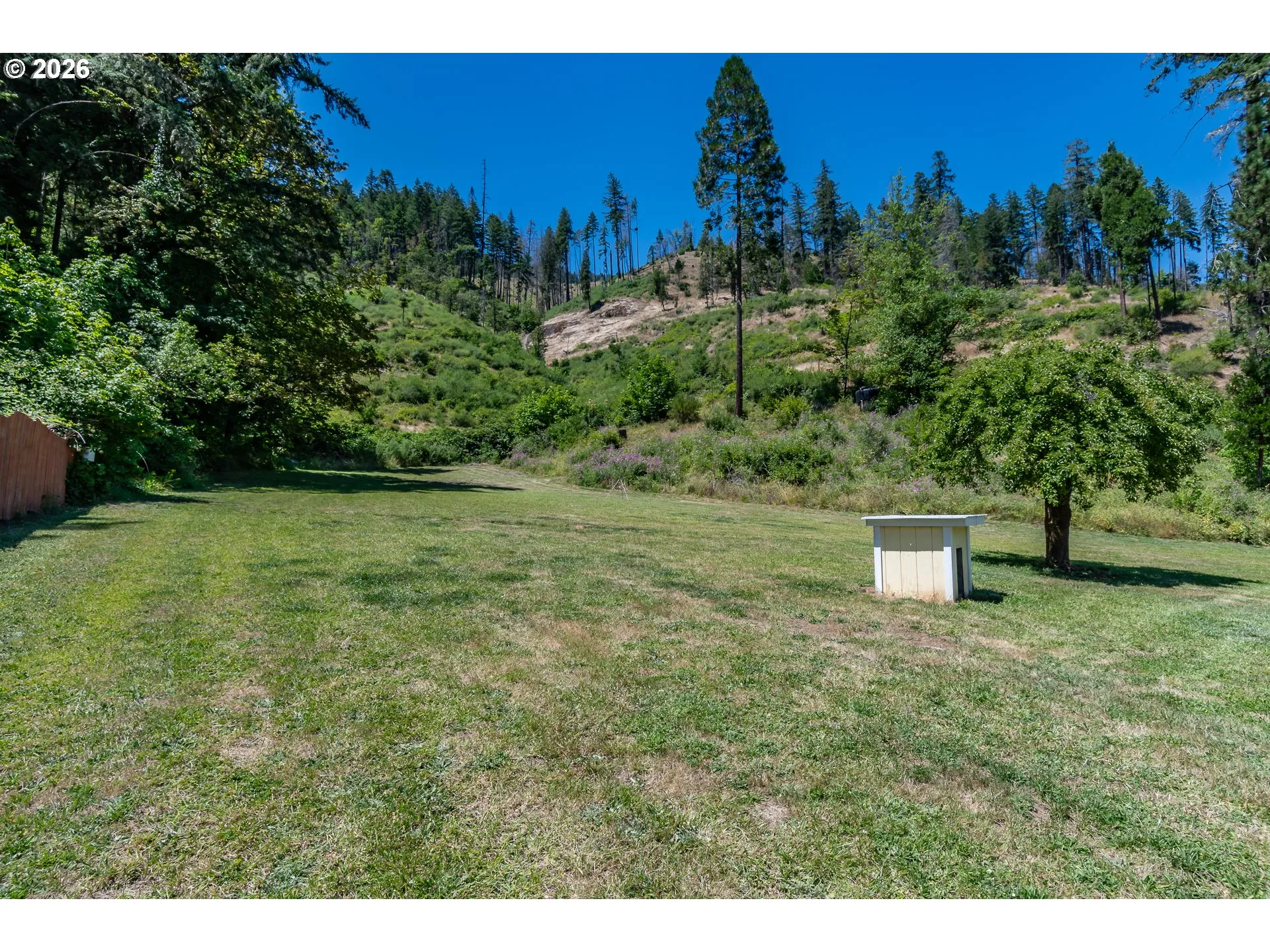 Backyard-View From