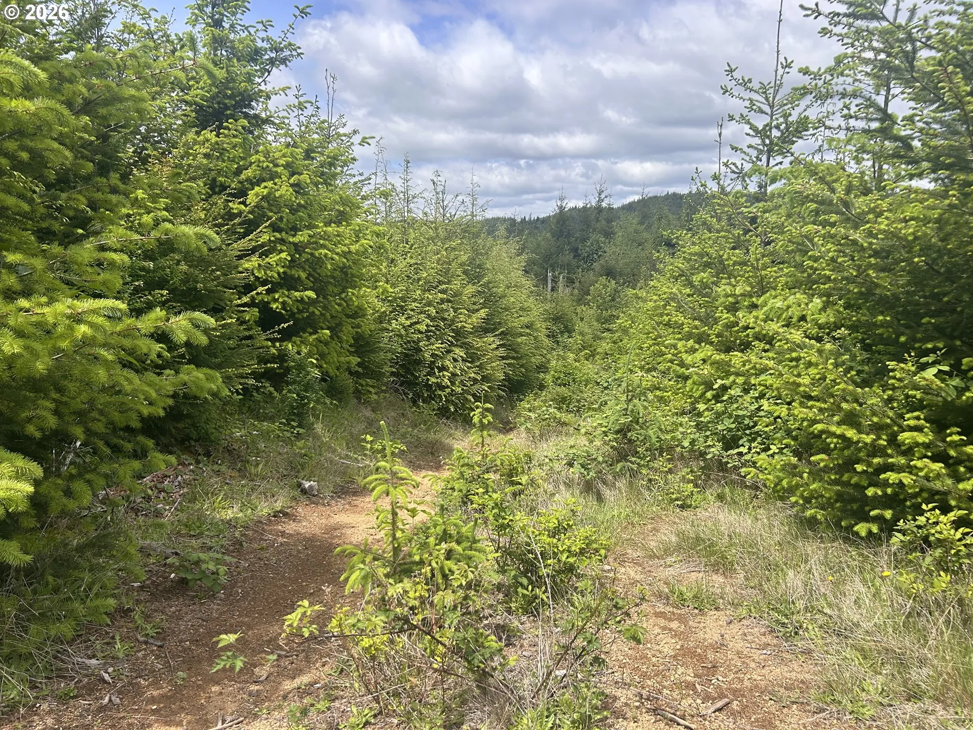 Acreage