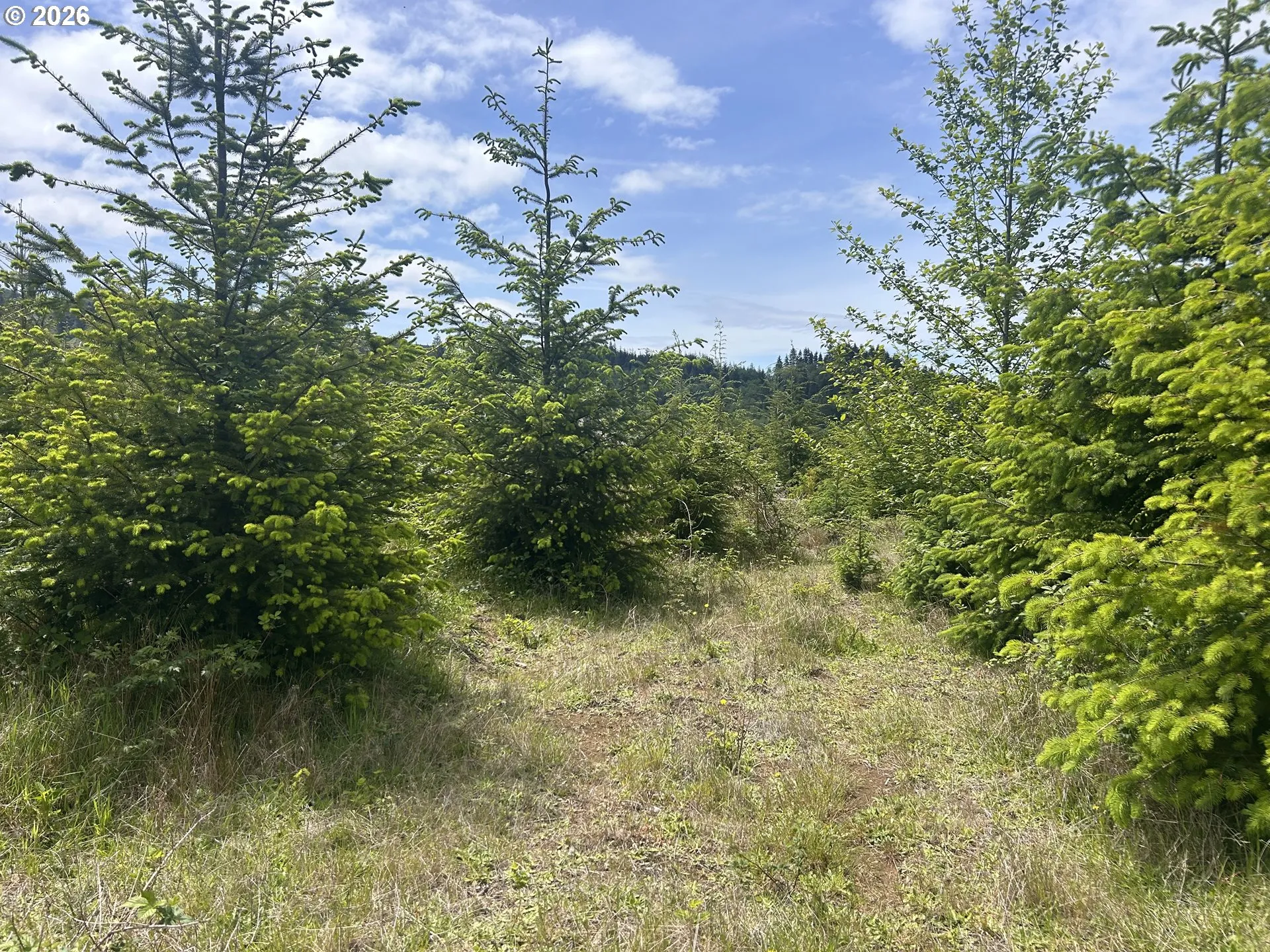 Acreage