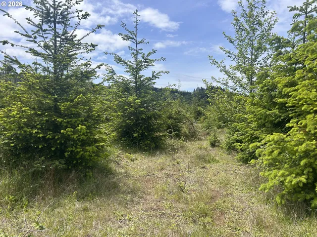 Acreage