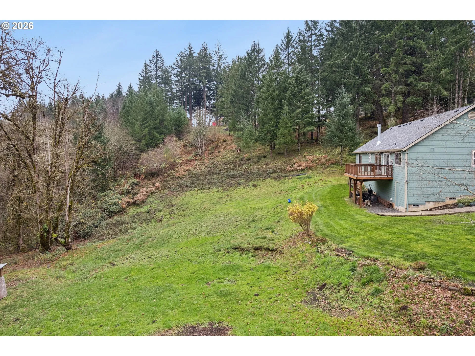 Backyard-View From